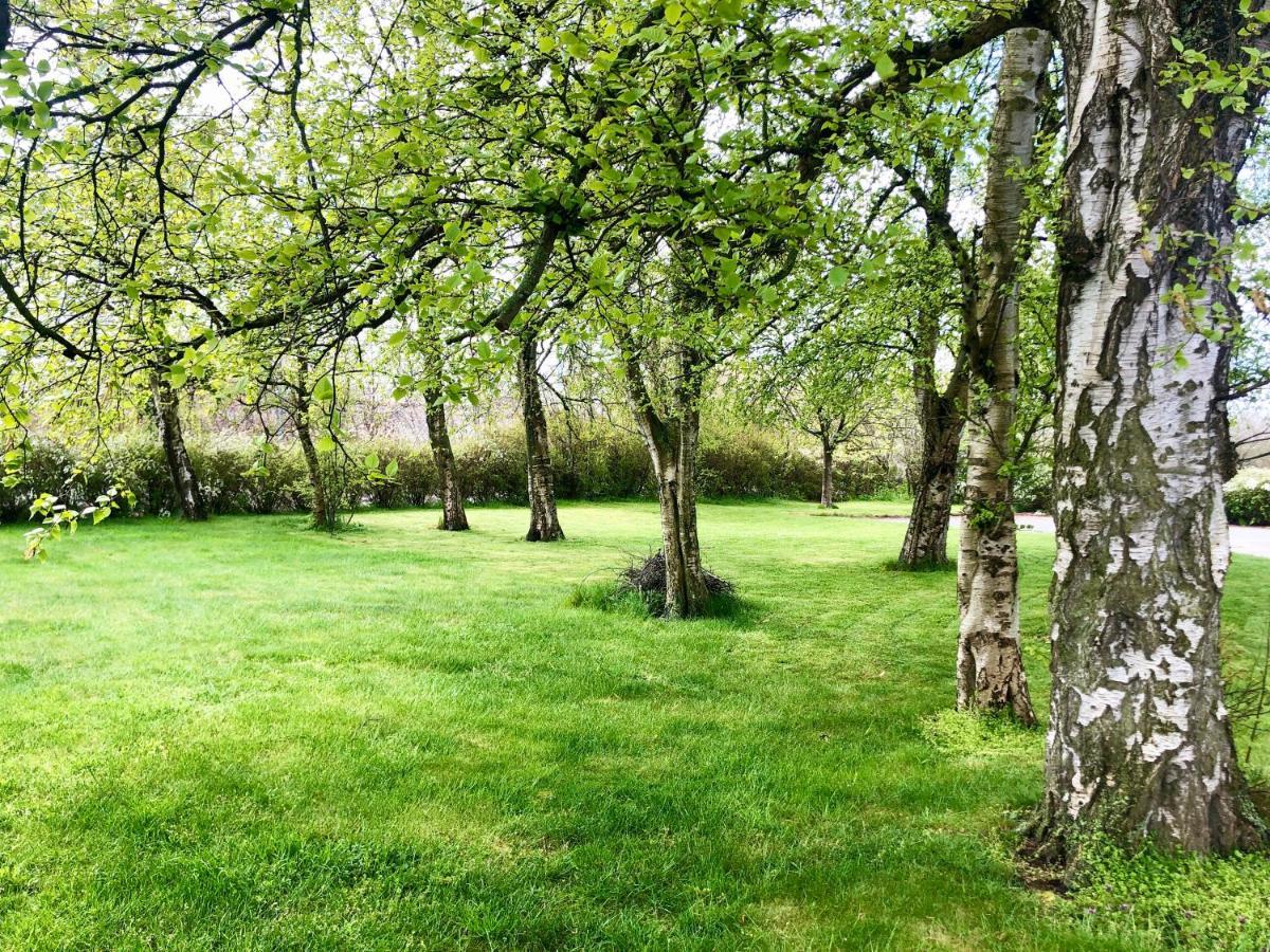 Hemmet Simrishamns Vandrarhem Och B&B Dış mekan fotoğraf