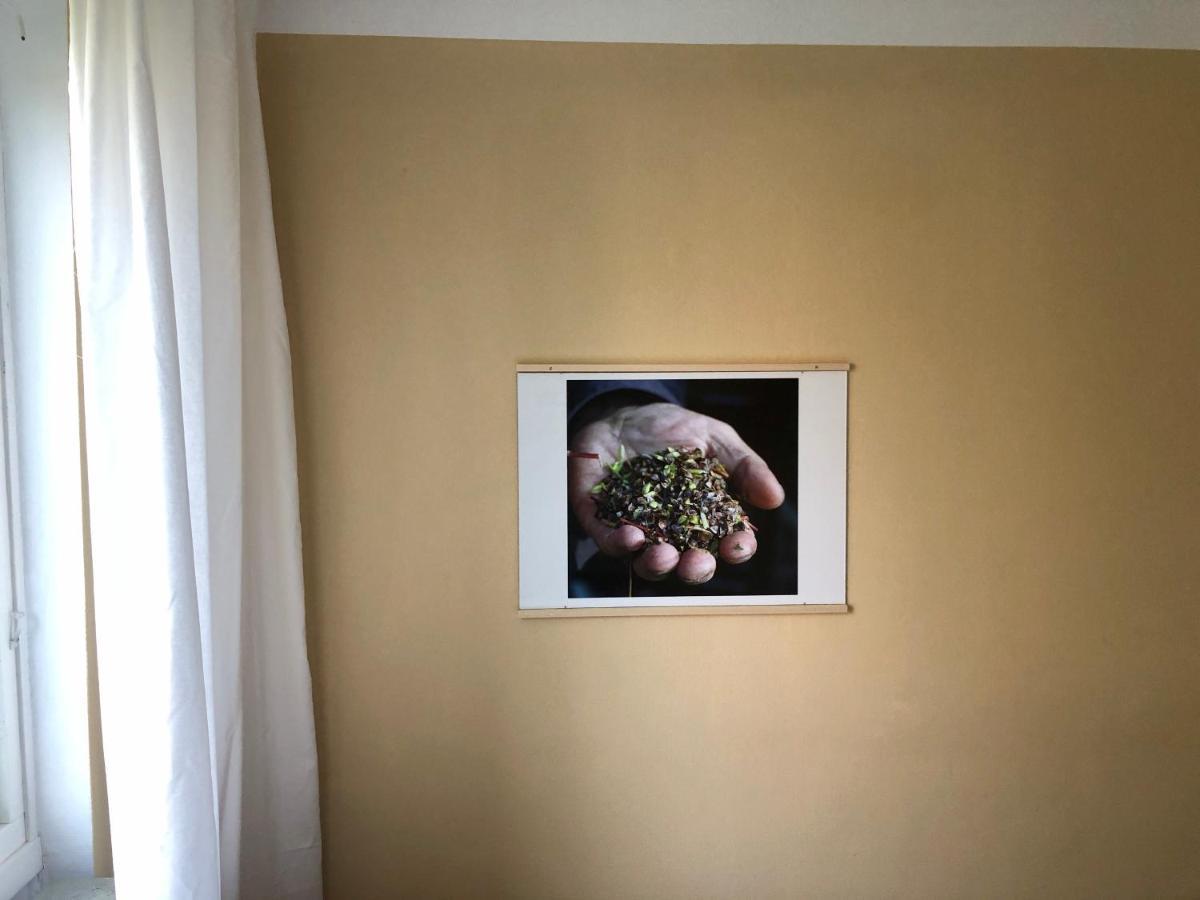 Hemmet Simrishamns Vandrarhem Och B&B Dış mekan fotoğraf